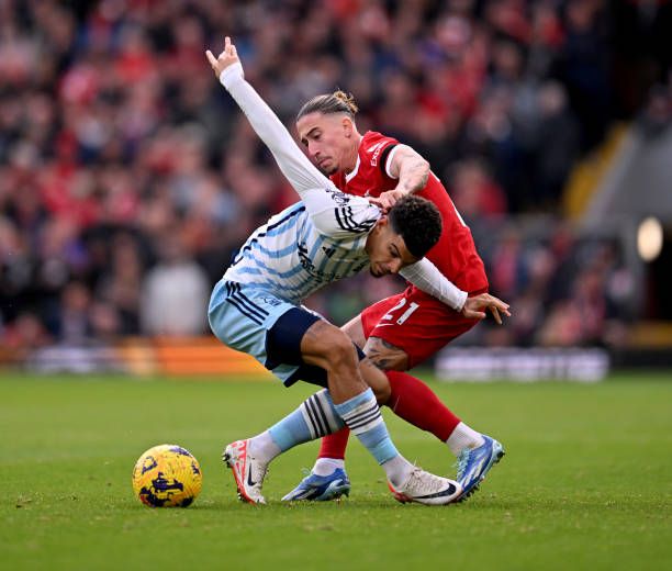 更为球队赢 更为球队赢