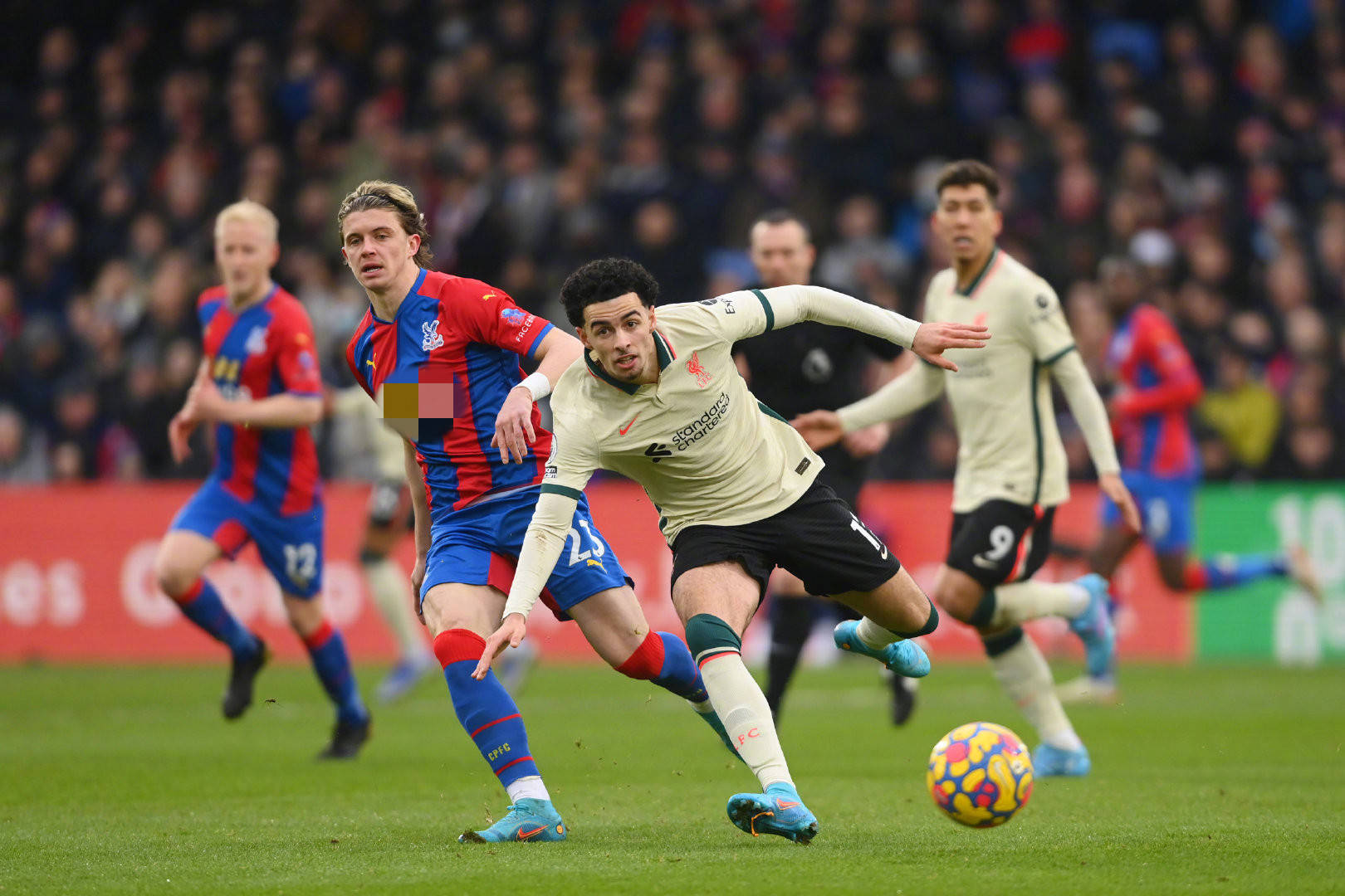 这与他们在 这与他们在